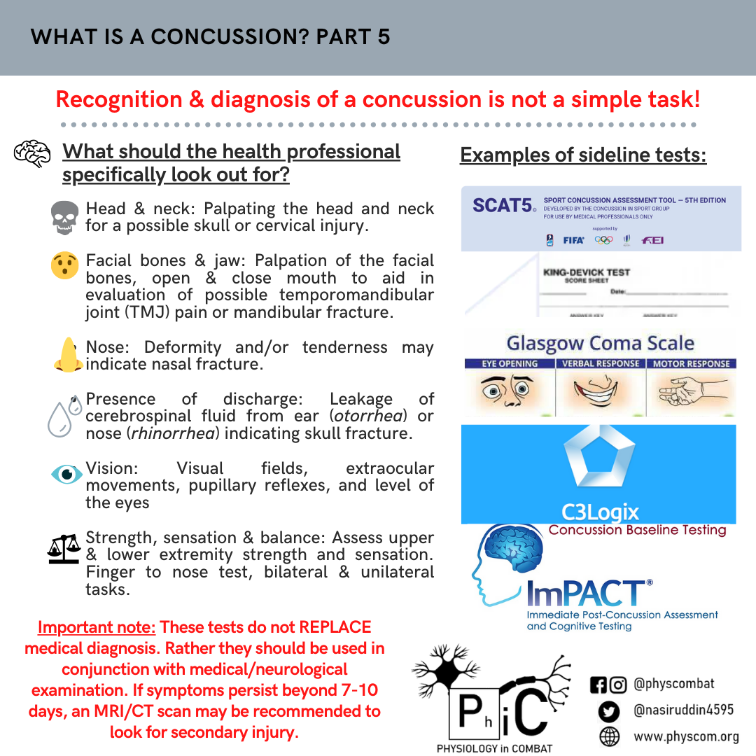Copy of Concussion P4
